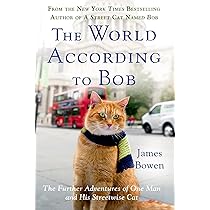 A Street Cat Named Bob [DVD] [2016] | Amazon.com.br